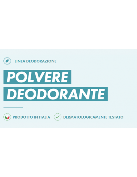 Scatola Deodorante Per Interni – Rimozione Polvere E Purificazione Aria Con Estratti Vegetali, Senza Elettricità, Per Camera E Ufficio