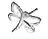 Image of Bjt201 orecchini dragonfly ss cod085