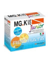 Mgk vis junior arancia 10 bustine