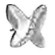 Bjt213 orecchini papillon c ss
