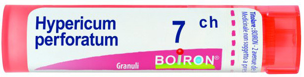 Hypericum perfor 7ch gr