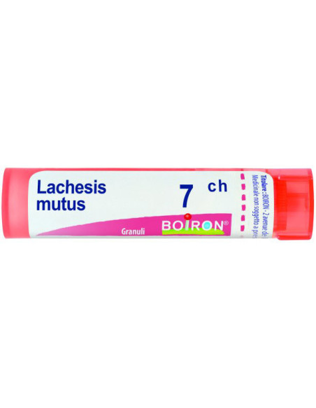 Lachesis mutus 7ch gr