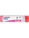 Lachesis mutus 7ch gr