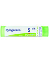 Pyrogenium 5ch gr