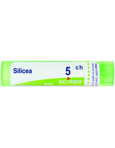 Silicea 5ch gr