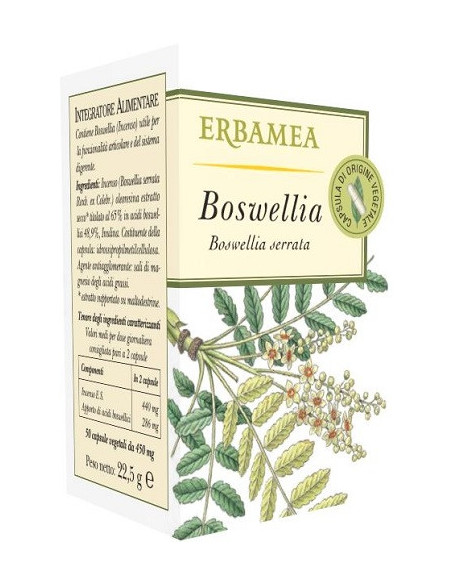 Boswellia 50opr
