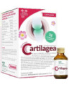 Cartilagea salugea integratore per il benessere articolare 18 flaconcini da 12ml