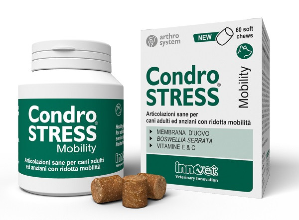 Condrostress mobility 60 chews