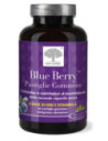 Blue berry 60 pastiglie gommose