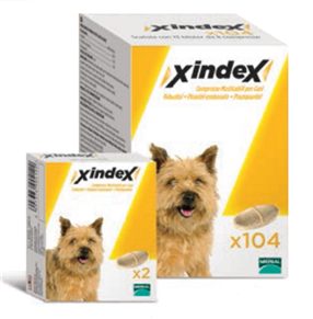 Xindex 2 compresse mast cani