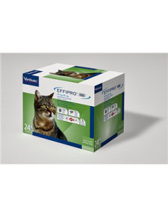Effipro duo gatto 24 pip