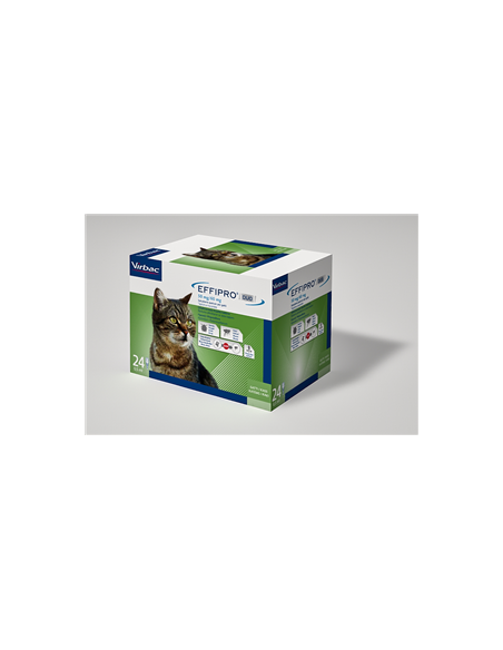 Effipro duo gatto 24 pip