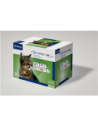 Effipro duo gatto 24 pip