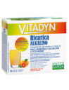 Vitadyn ricarica alkalin14bust