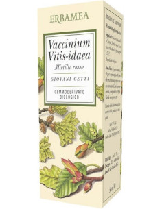 Vaccinium vitis idaea m r 50ml