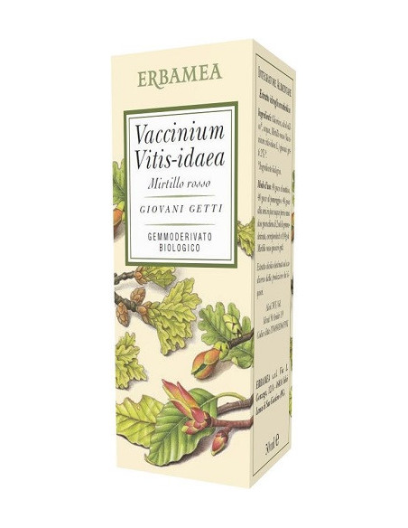 Vaccinium vitis idaea m r 50ml