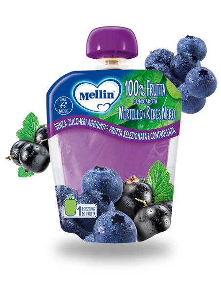 Pouch mirtillo ribes 90g