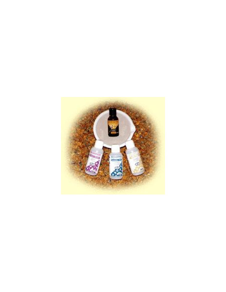 Shampoo cap gras/forfora 250ml