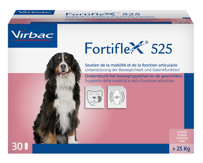 Fortiflex 525mg 30 compresse