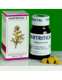 Ivartritica 2 80tav