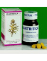 Ivartritica 2 80tav