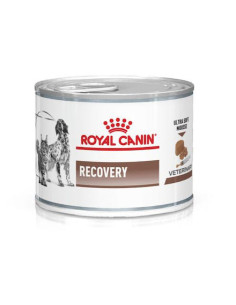 Vd wet dog&cat recovery 195g