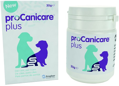 Procanicare plus 30 gr f