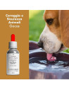 Fiori di Bach Gocce 30 ml Rimedio Naturale per Cani e Gatti Timorosi