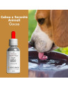 Fiori di Bach Gocce 30 ml Rimedio Naturale per Cani e Gatti Iperattivi e Agitati