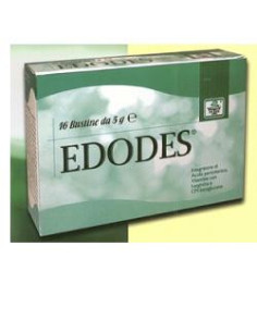 Edodes 16bust