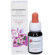 Eie echinacea 30 ml gocce
