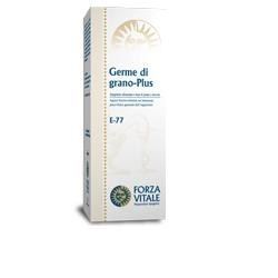 Germe grano-plus ecosol