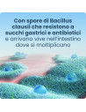 Enterogermina 4 miliardi/5 ml 20 flaconcini sospensione orale