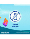 Imodium 12 compresse orosolubili 2mg