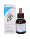 Msa ribes nigrum 50ml