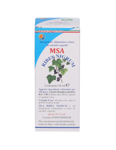 Msa ribes nigrum 50ml