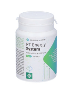Pt energy system 30 compresse