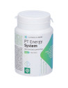 Pt energy system 30 compresse