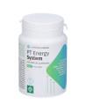 Pt energy system 30 compresse