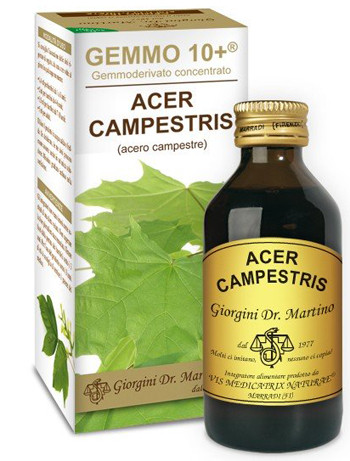 Image of Acero camp 100ml analco gem10+ cod085