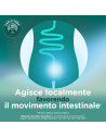 Glicerolo adulti Carlo Erba 6 contenitori 6,75g