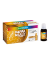 Massigen pappa reale 10 flaconcini 25ml