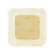 Biatain adhesive p 10x10 10pz