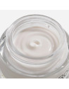 Rougj crema Collagen Age