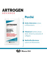 Artrogen advance 20 bustine 10gr