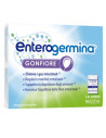 Enterogermina gonfiore 10 bustine