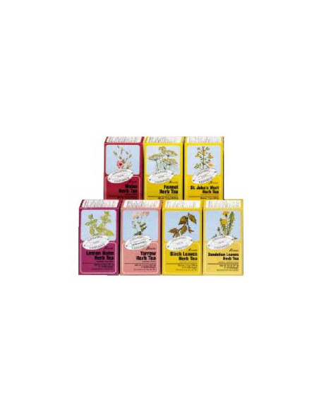Salvia tisana 15flt bio