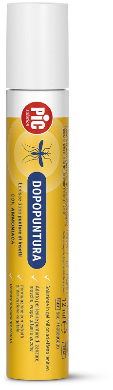 Pic solution dopopuntura ammon