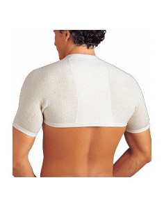 Gibaud coprisp anat 2