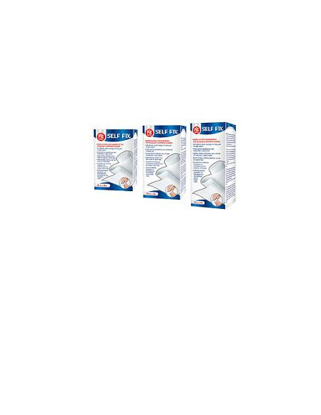 Benda pic selfix 6x20